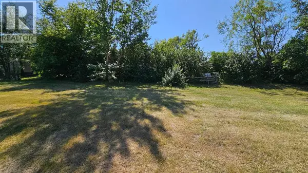 Coronation, AB T0C1C0,5222 Imperial Lane