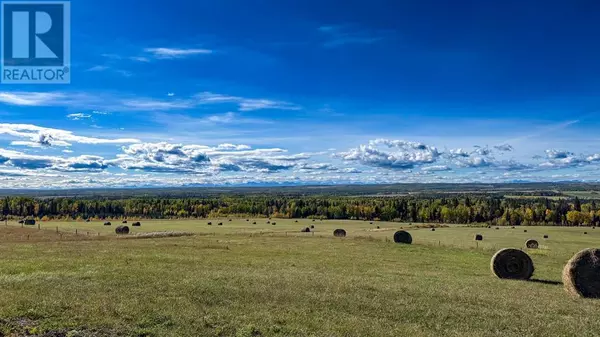 Rural Mountain View County, AB T0M1X0,31479 Range Road 52