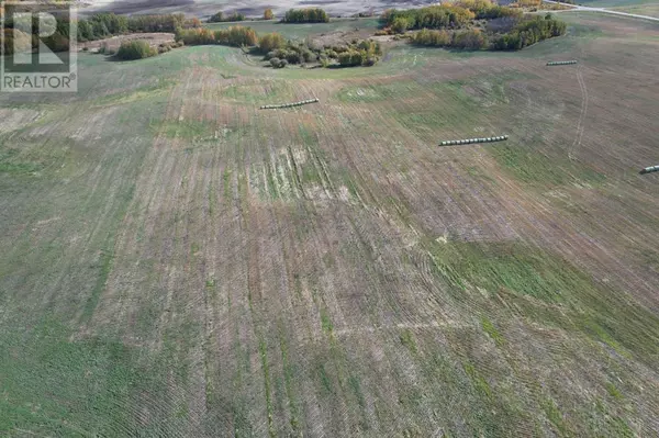 Rural Ponoka County, AB T0B0H0,On Range Road 233