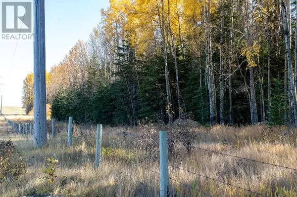 Rural Clearwater County, AB T0M0C0