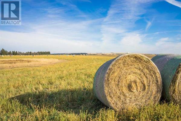 Rural Foothills County, AB T1S0T3,NW;32;22;2;W5M