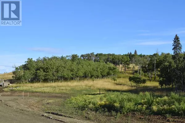 Rural Foothills County, AB T0L1W4,Lot 13 Whiskey Springs Hill W