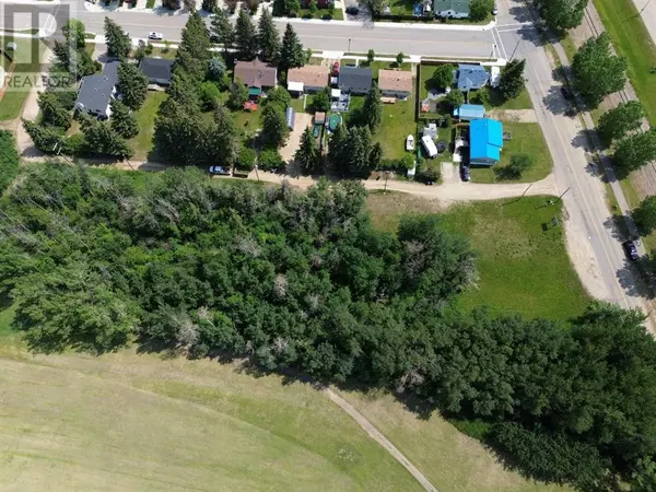 Sylvan Lake, AB T4S1E7,5310 50 Avenue