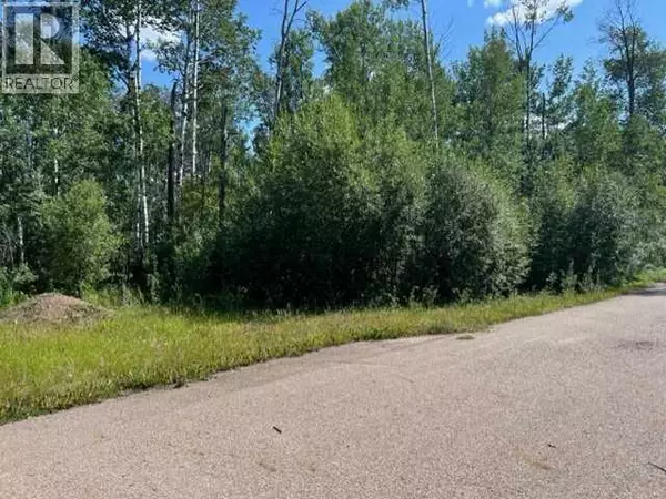 Conklin, AB T0P1H1,146 Poplar Drive Rr