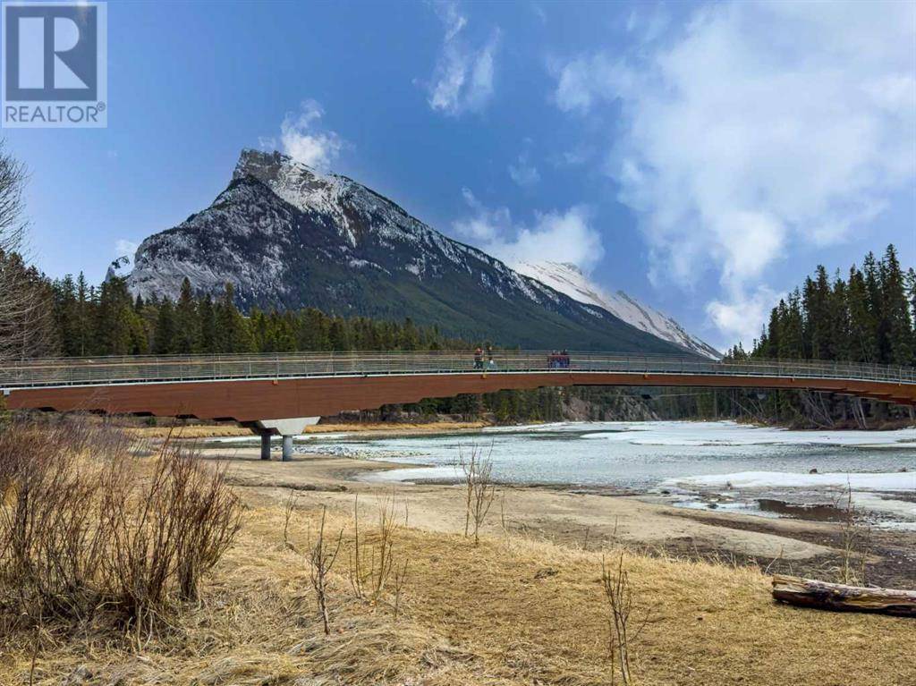 Banff, AB T1L1A1,317 Buffalo Street