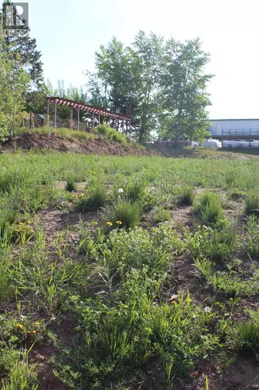 Manning, AB T0H2M0,202 4th Avenue