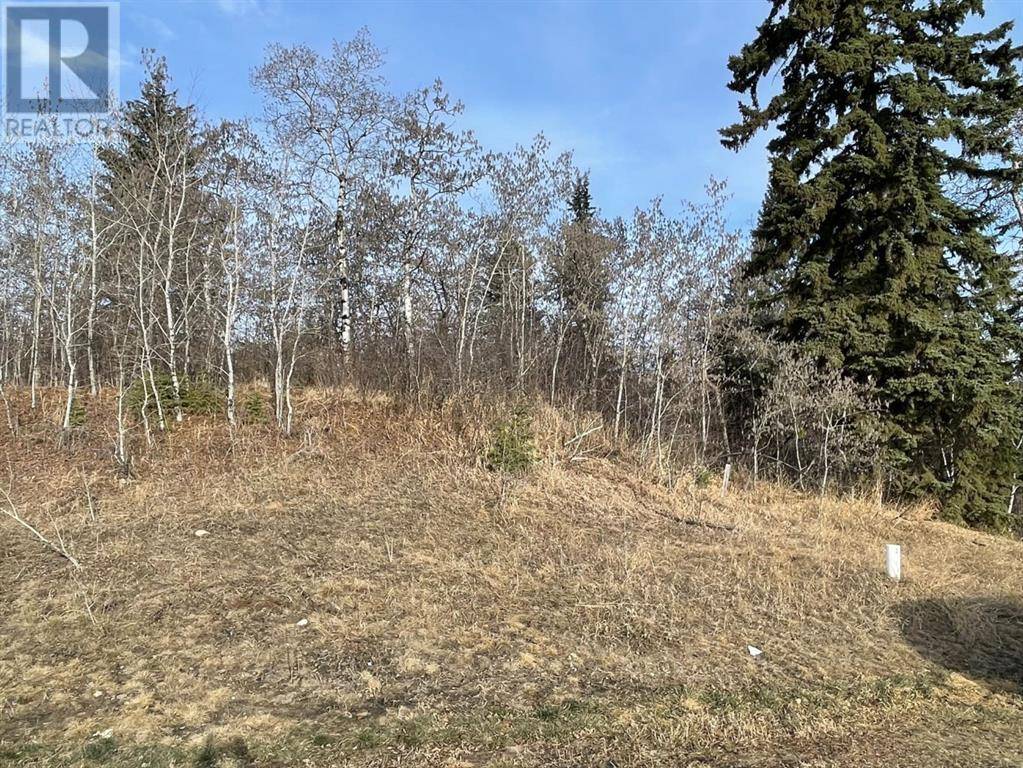 Rural Ponoka County, AB T4J1R3,130 & 132 Wolf Run Drive