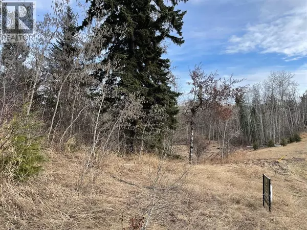 Rural Ponoka County, AB T4J1R3,130 & 132 Wolf Run Drive