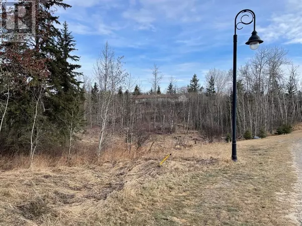 Rural Ponoka County, AB T4J1R3,130 & 132 Wolf Run Drive