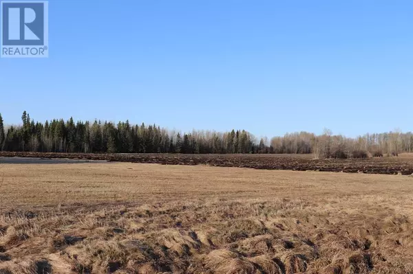 Rural Yellowhead County, AB T7E3N3,54222B Range Road 170