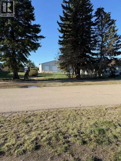 Elnora, AB T0M0Y0,519 4th Avenue