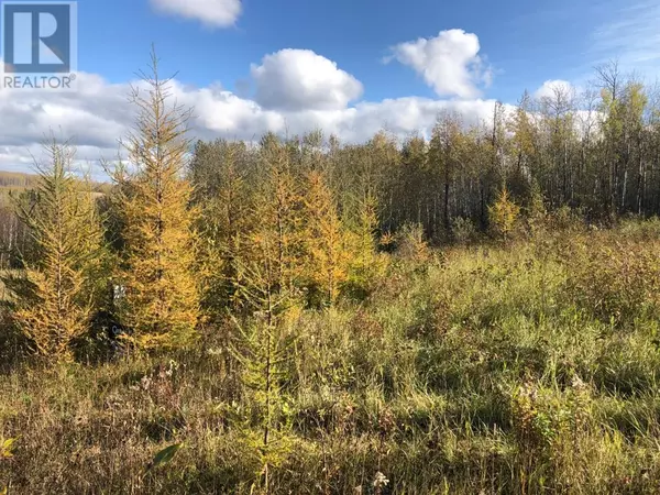 Plamondon, AB T0A2T0,115, 16326 Twp Rd 675