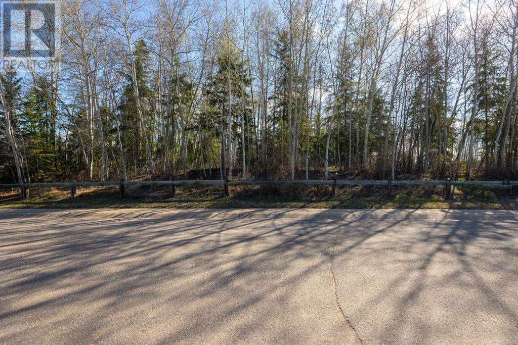 Fort Mcmurray, AB T9K1J7,129 Torrie Crescent
