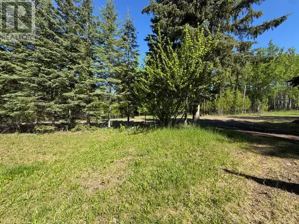 Rural Yellowhead County, AB T7E3H4,16111 TOWNSHIP ROAD 540B