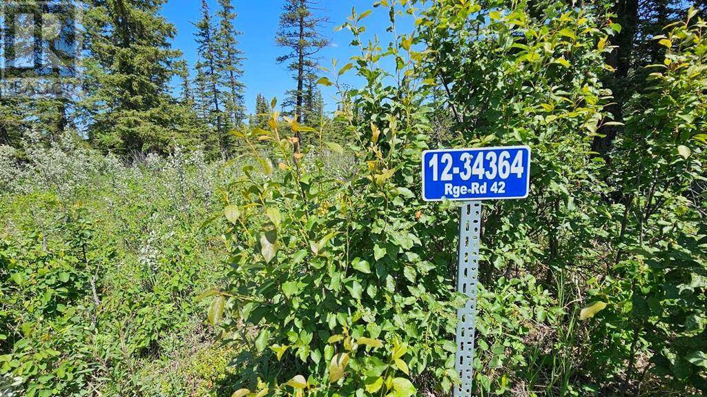 12, 34364 Range Road 42, Rural Mountain View County, AB T0M1X0