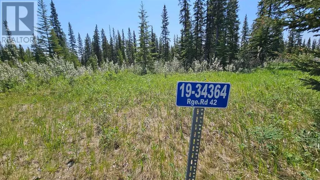 Rural Mountain View County, AB T0M1X0,19, 34364 Range Road 42