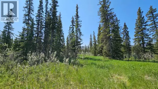 Rural Mountain View County, AB T0M1X0,19, 34364 Range Road 42