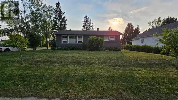 5502 51 Street, Castor, AB T0C0X0