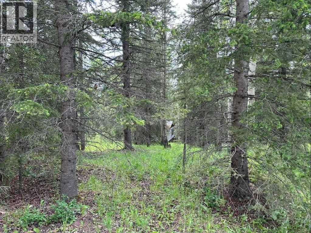 Rural Mountain View County, AB T0M2E0,8, 5413 Highway 579