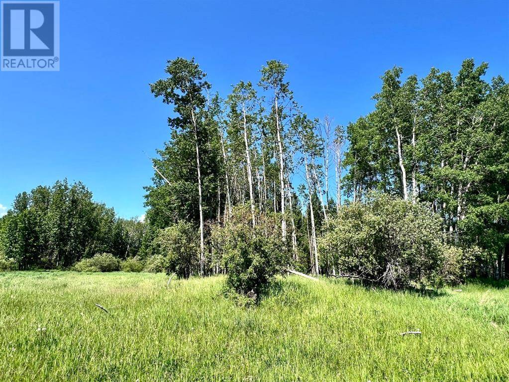 Rural Ponoka County, AB T0C2J0,on Twp Rd 43-0