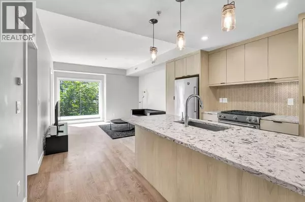 206, 3375 15 Street SW, Calgary, AB T2T4A2