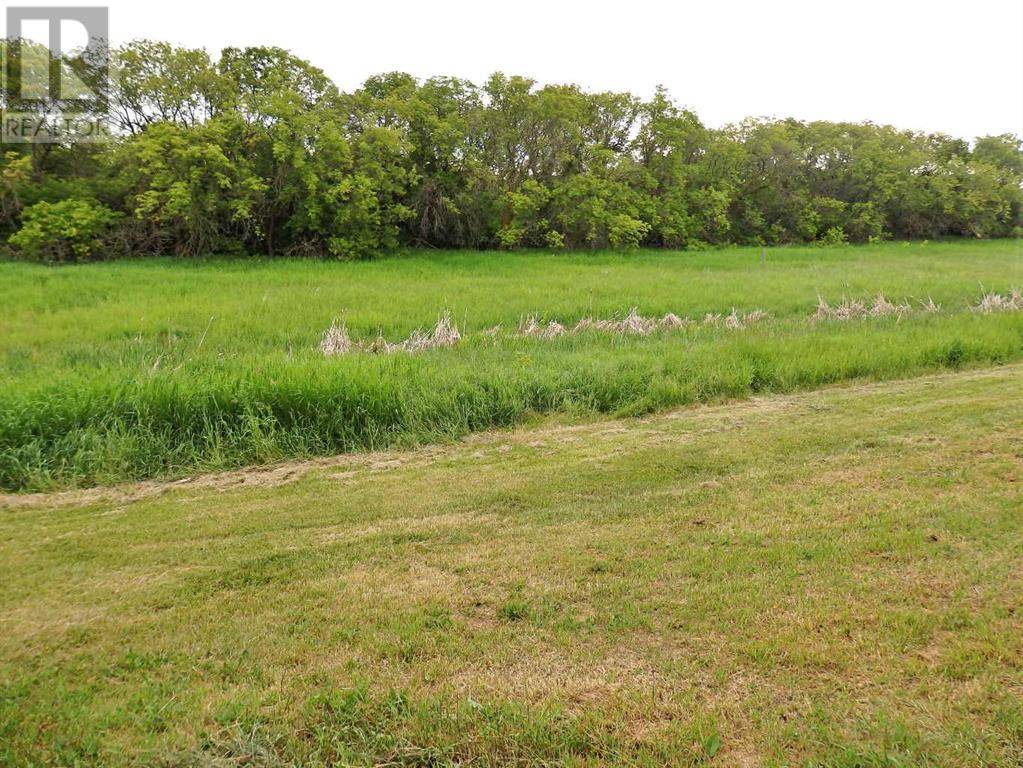 Vermilion, AB T9X1Y4,4416 50 Street