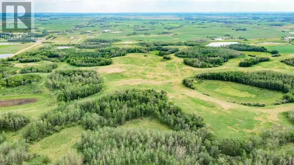 Rural Stettler No. 6 County Of, AB T0C2L0,On Hwy 601