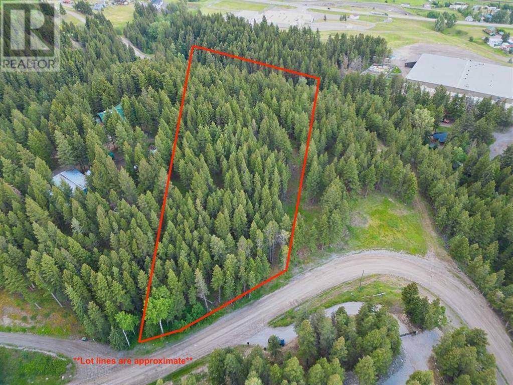 8728 24 Avenue, Coleman, AB T0K0M0