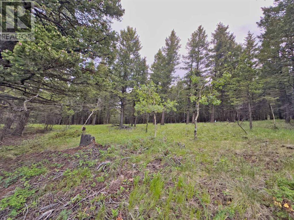 Coleman, AB T0K0M0,8728 24 Avenue