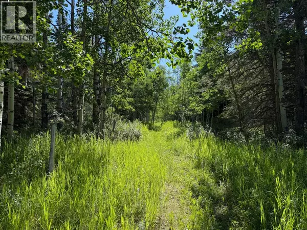 Rural Foothills County, AB T0L1W2,288145 160 Avenue W