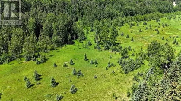 Rural Yellowhead County, AB T7E3K4,53305 Range Road 165