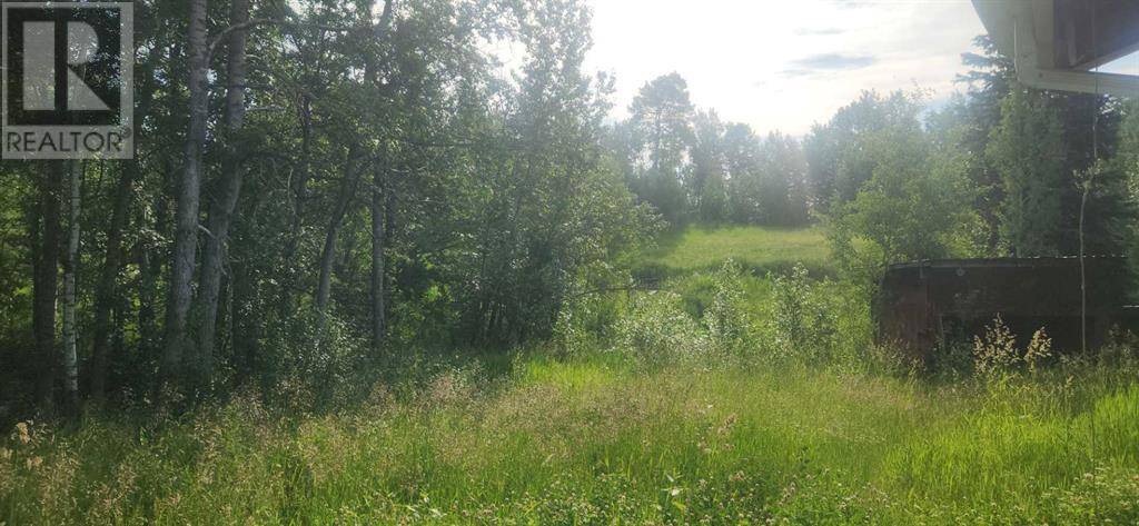403065 Range Road 4-5 Road, Rural Clearwater County, AB T0M1H0