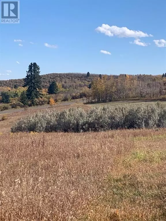 Rural Foothills County, AB T2X0X0,16 Red Willow Court W