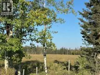 SE 3-33-5 W5, Rural Mountain View County, AB T0M1X0