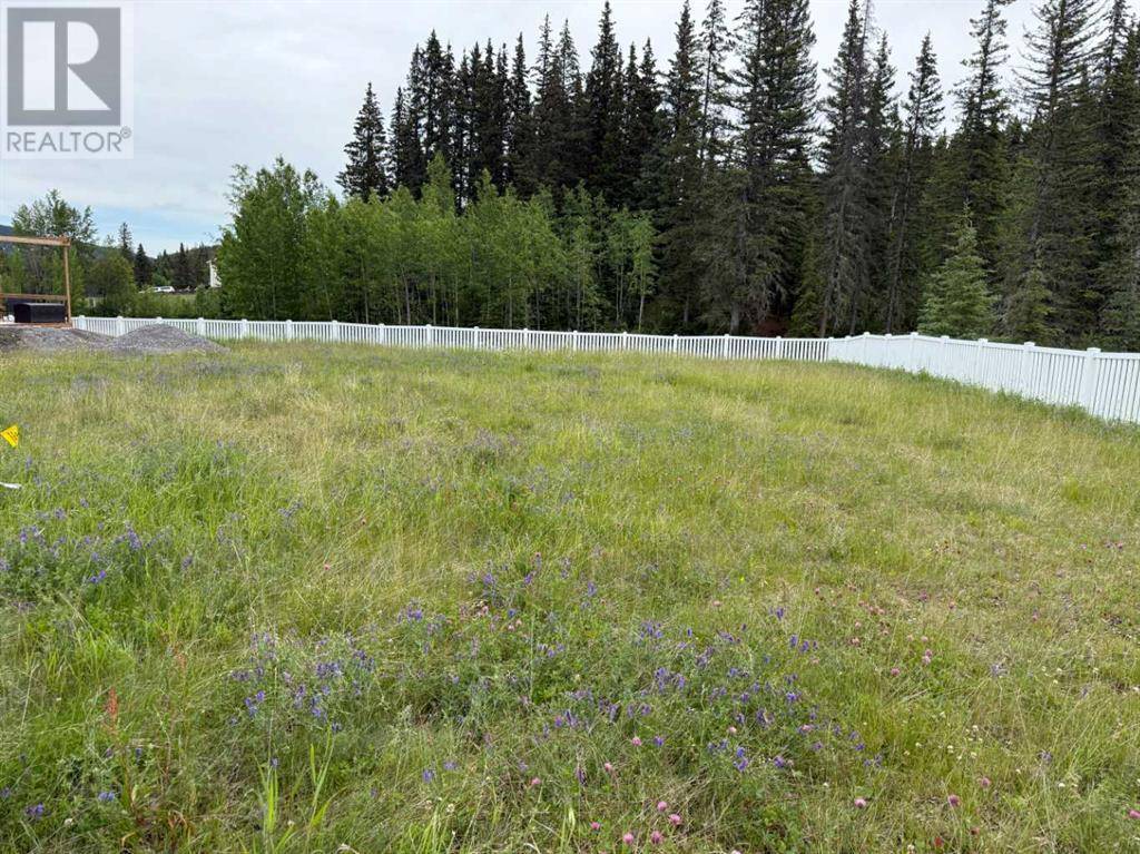 359 Elizabeth Avenue, Nordegg, AB T0M2H0