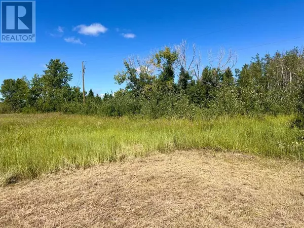 Rural Foothills County, AB T1S1A1,200, 40039 306 Avenue E