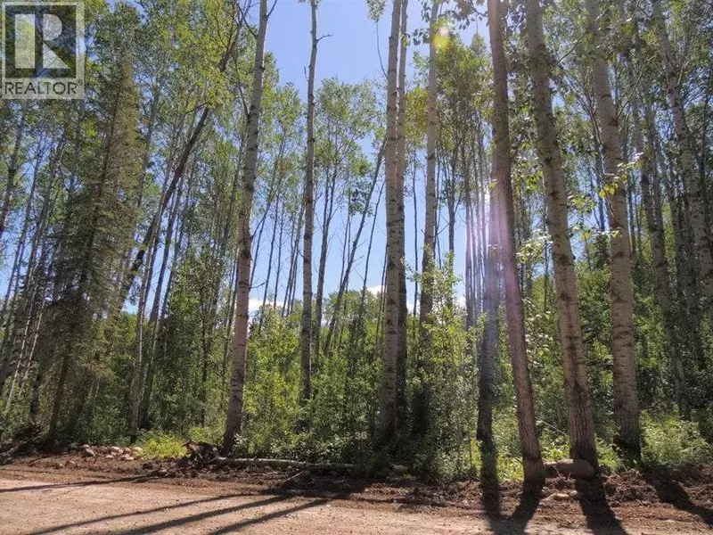 Lot #36 Wapiti River SW-21-69-10-W6, Rural Grande Prairie No. 1 County Of, AB T0H1J0