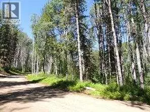 Rural Grande Prairie No. 1 County Of, AB T0h1J0,Lot #20 Wapiti River SW-21-69-10-W6