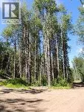 Lot #7 Wapiti River SW-21-69-10-W6, Rural Grande Prairie No. 1 County Of, AB T0H1J0