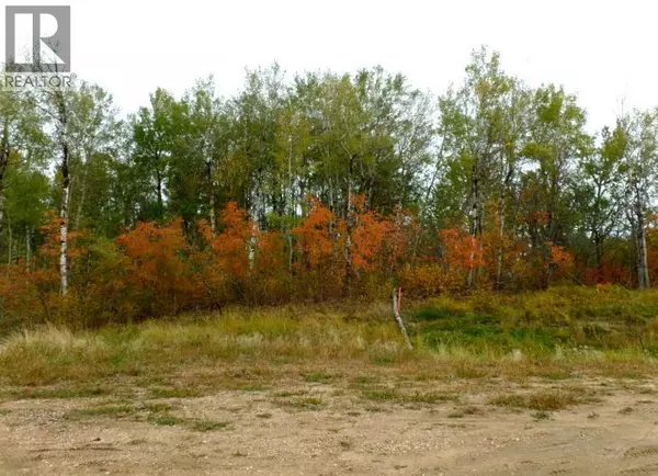 Rural Lac La Biche County, AB T0A2C0,1520018 - 1 - 1 Poplar Point