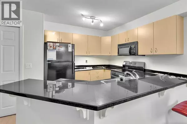 Calgary, AB T2P5J4,1105, 1121 6 Avenue SW