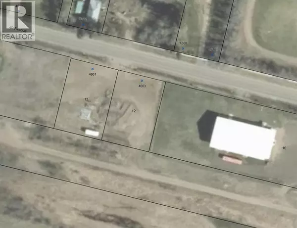 Dewberry, AB T0B0E3,4601-4603 49 Avenue