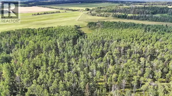 Rural Mountain View County, AB T0M0R0,5032 Township Road 310