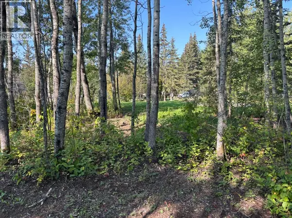 Athabasca, AB T9S1C4,#226, 660022 - Range Road 225.5 (Unit 35)