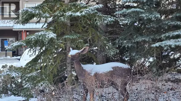 Calgary, AB T3H5X4,240, 20 Discovery Ridge Close SW