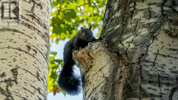 Calgary, AB T2C1S6,124 Lynnbrook Road SE