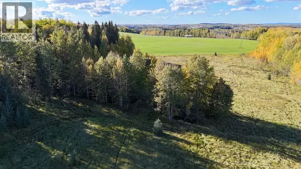 Rural Yellowhead County, AB T7E3E8,15, 53018 Range Road 175