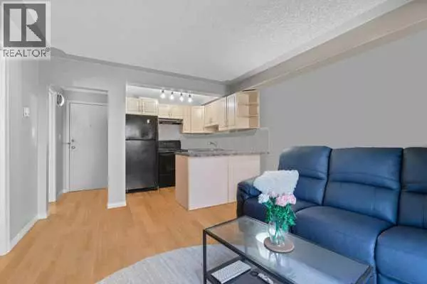 Calgary, AB T2S0J9,206, 104 24 Avenue SW