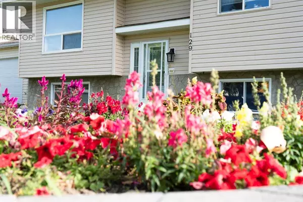 129 Scandia Cresent, Scandia, AB T0J2Z0