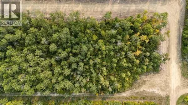 Rural, SK S0M1L0,7 Crane Lane Murphy Lake